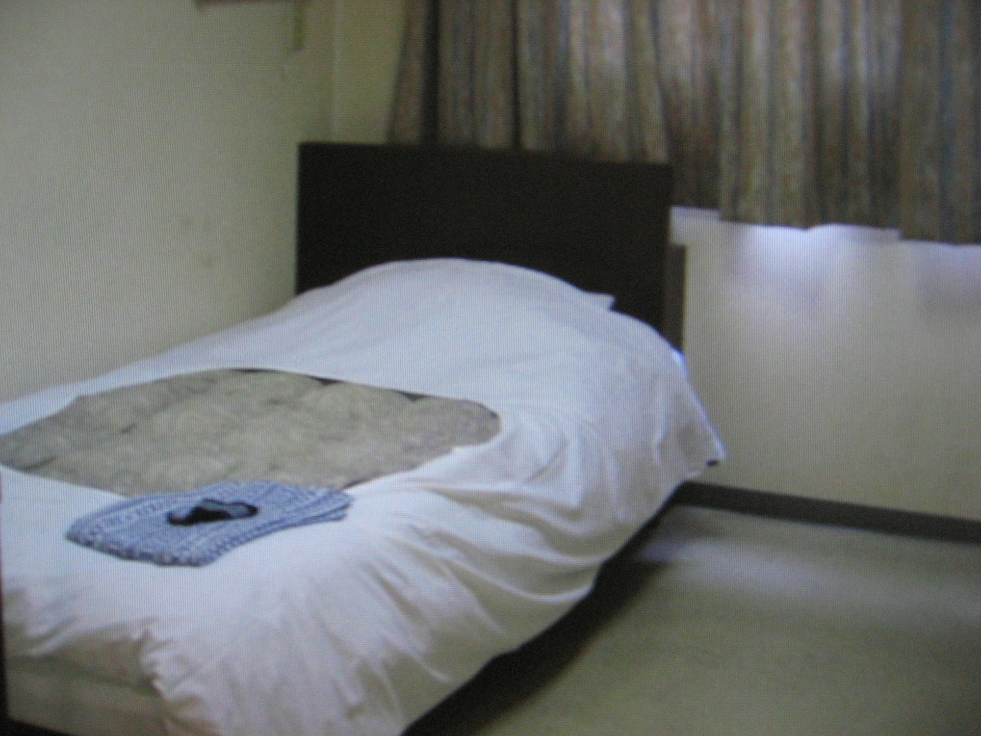 Hekinan Business Hotel Shinsuma מראה חיצוני תמונה